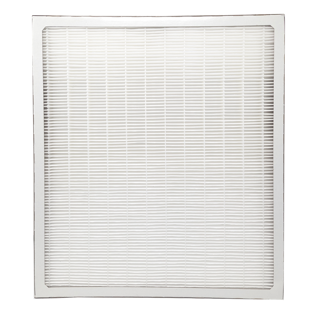 Coway mighty filter online